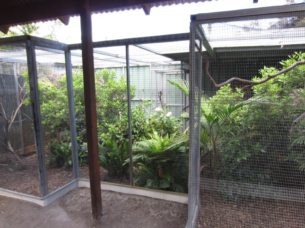 Finch and Softbill Aviaries