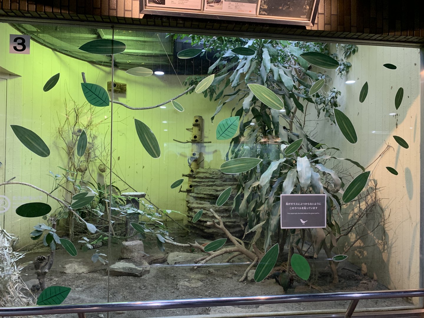 Finch Exhibit