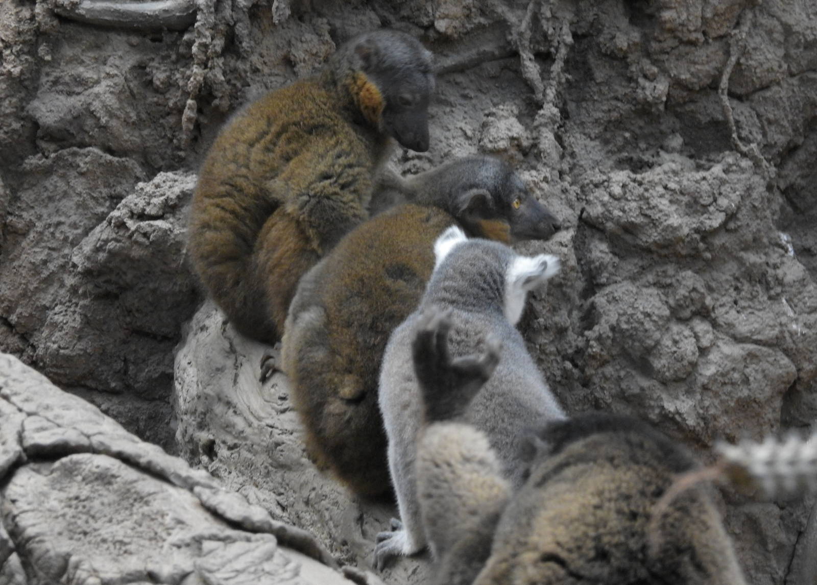 Find the odd one out