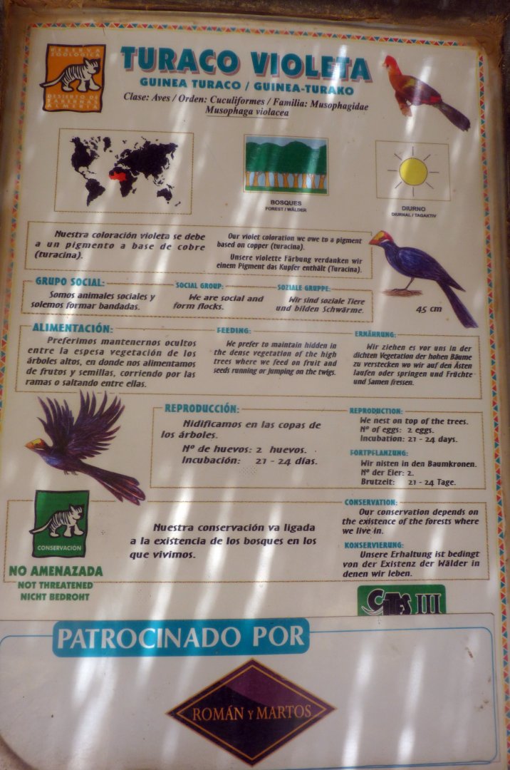 Find two errors with the illustrations in this signage