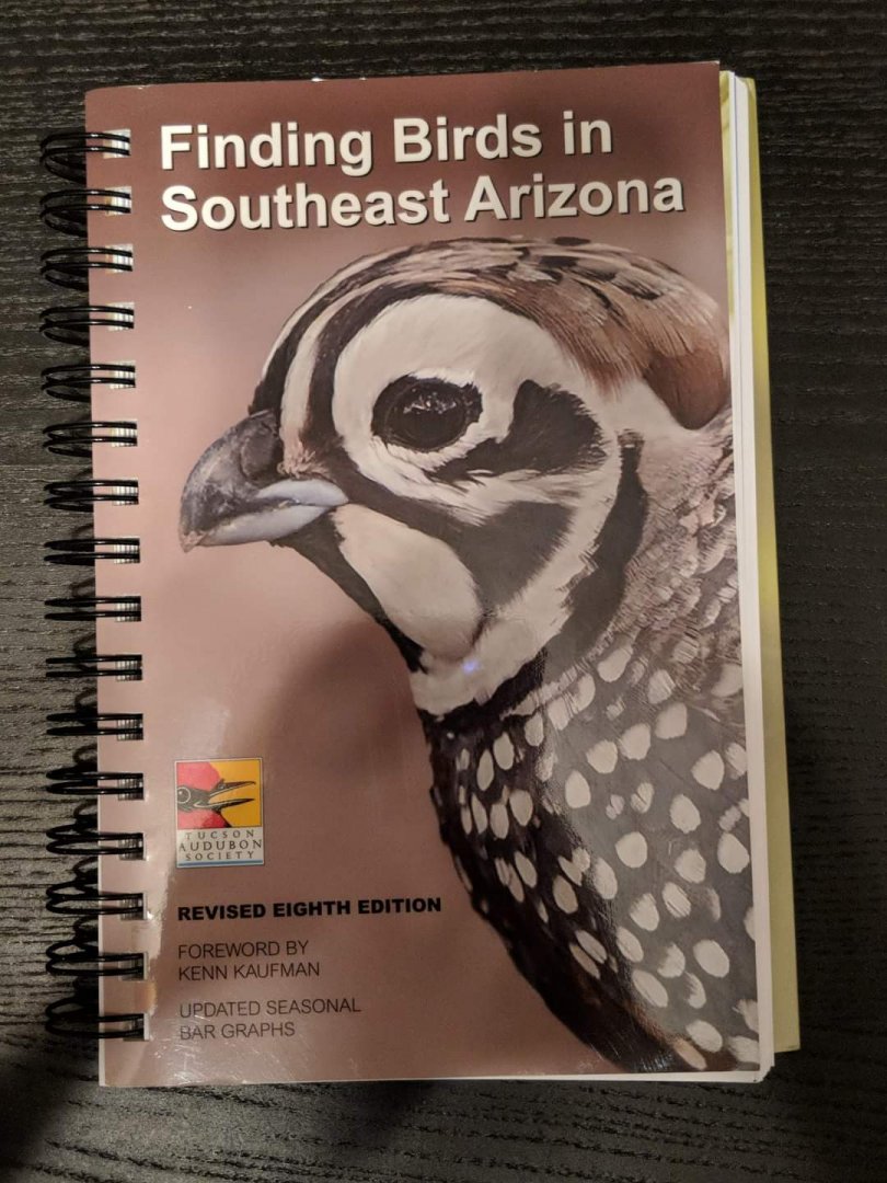Finding Birds in Southeast Arizona