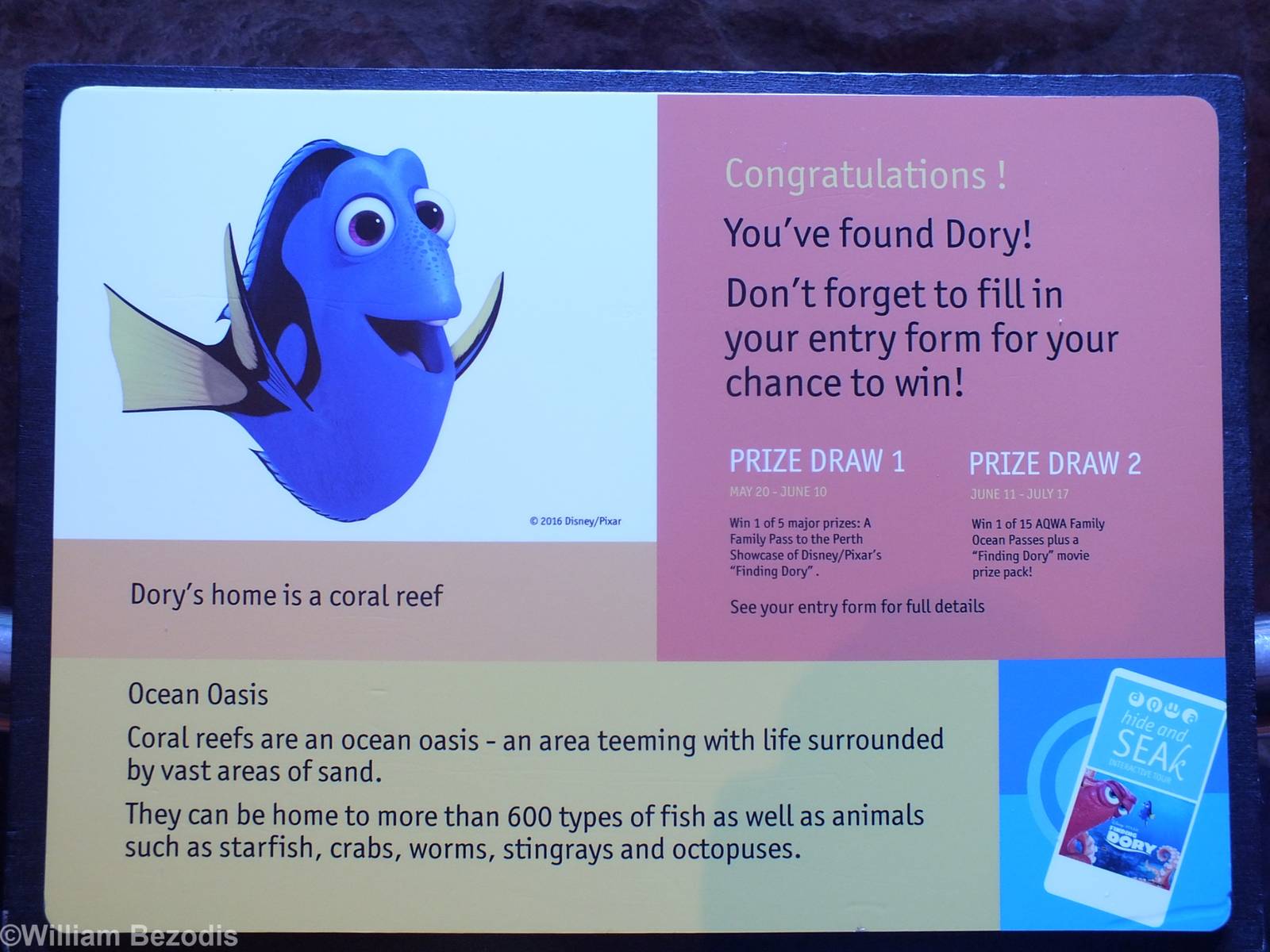 Finding Dory Sign
