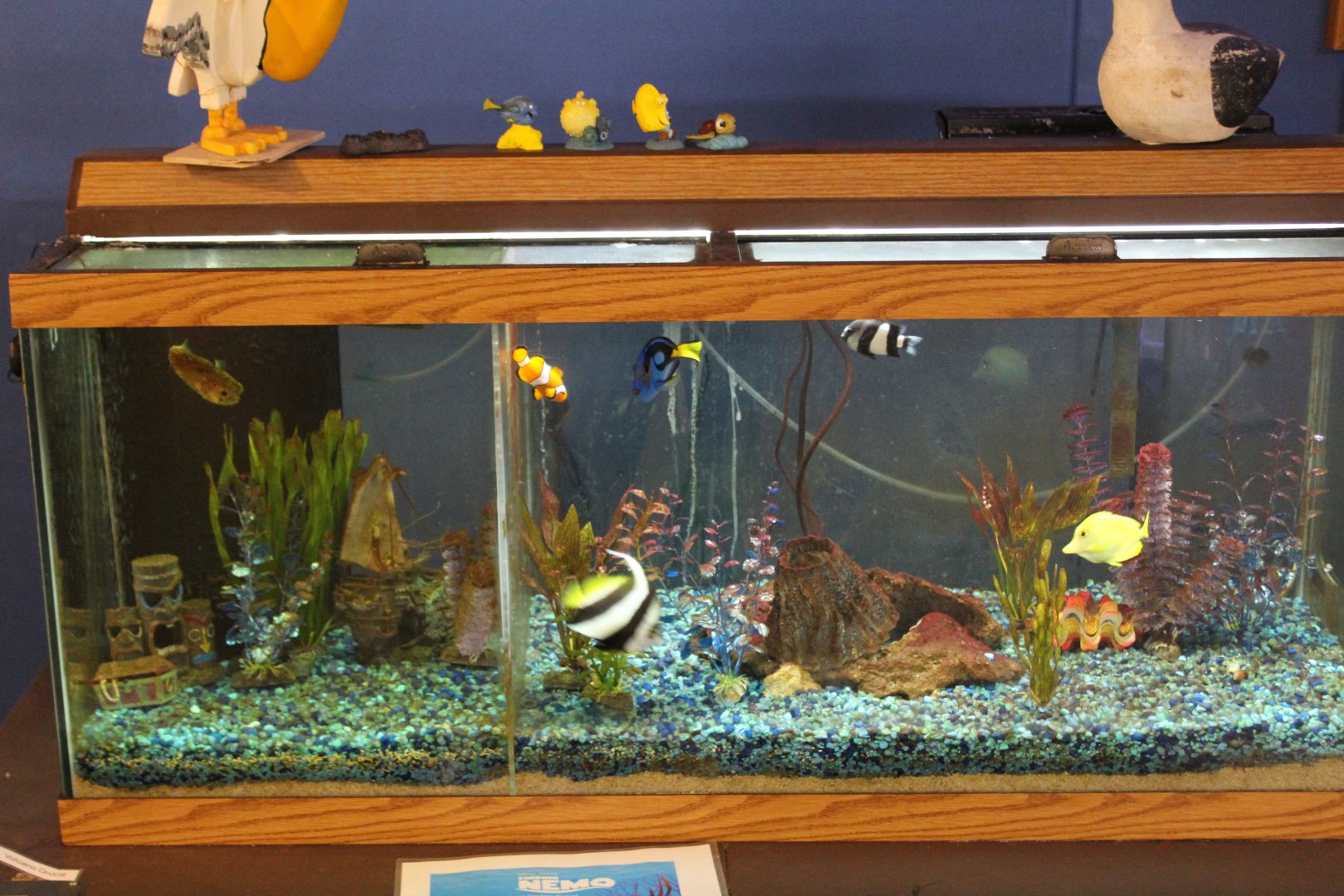 Finding Nemo Tank