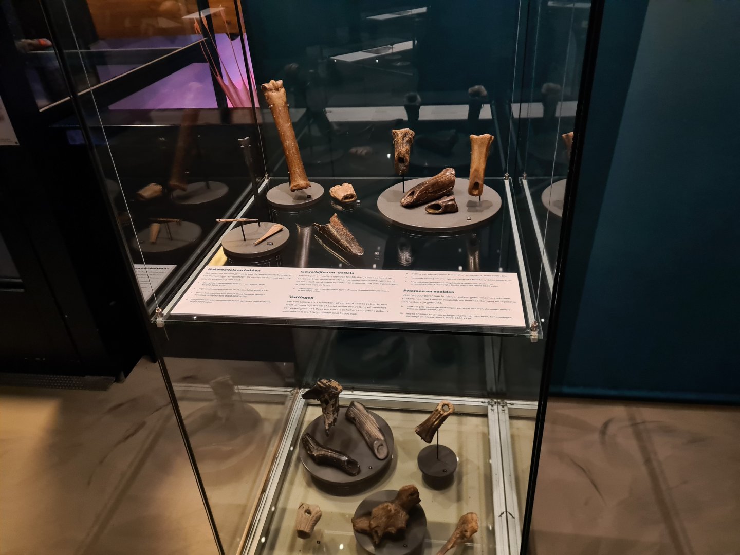 Findings in Doggerland