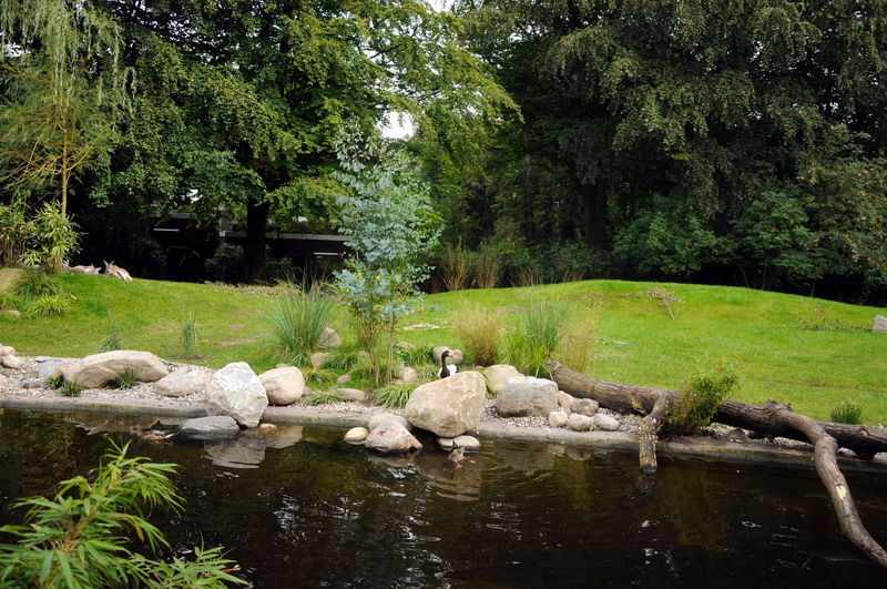 Finished australia exhibit at Hamburg