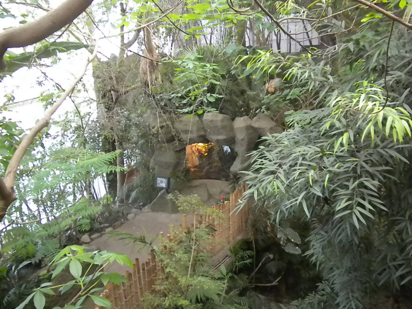 Finished Caiman lizard exhibit