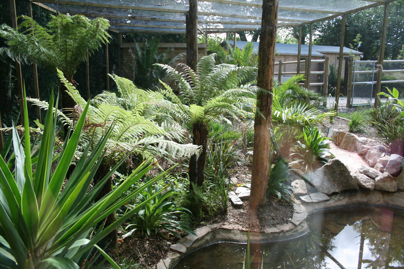 Finished fishing cat cage