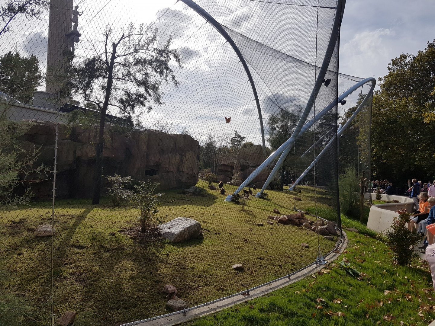 Finished Gelada-enclosure