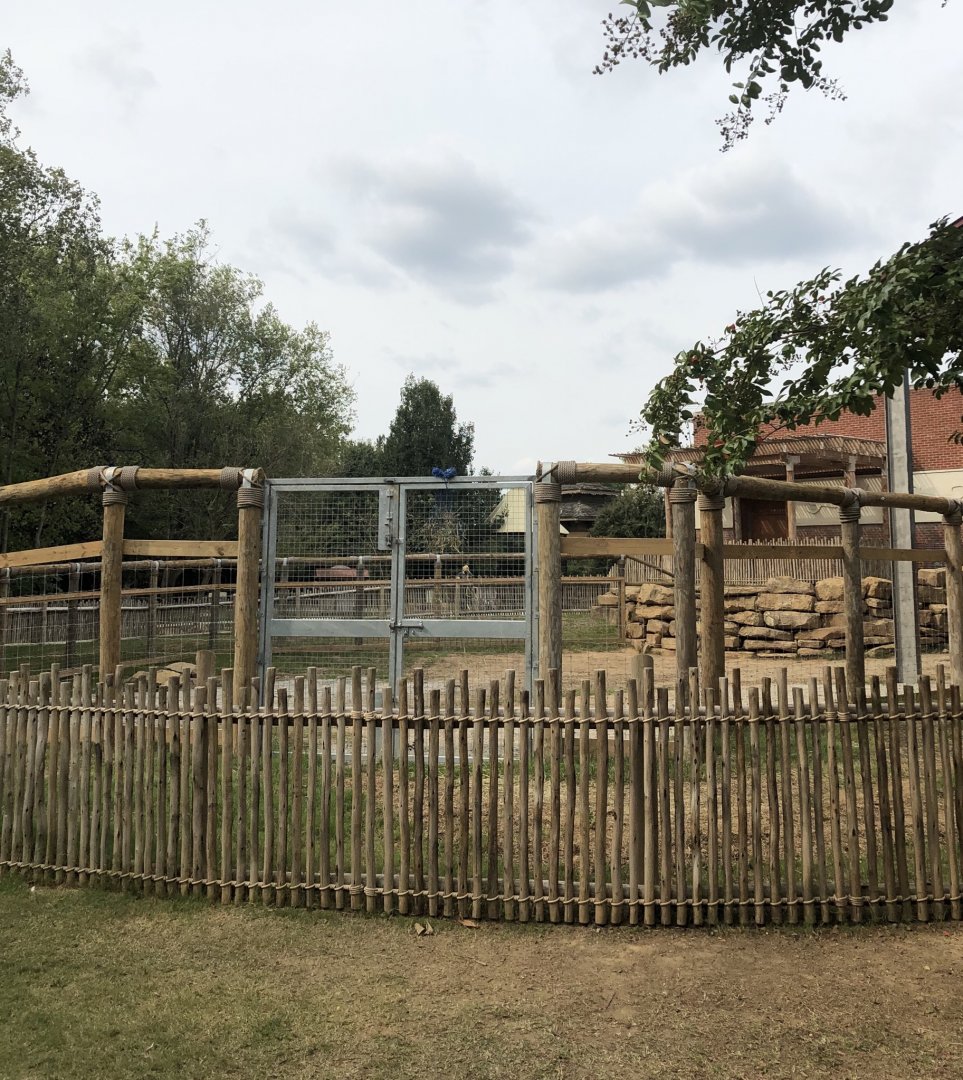 Finished Giraffe Exhibit - Outside