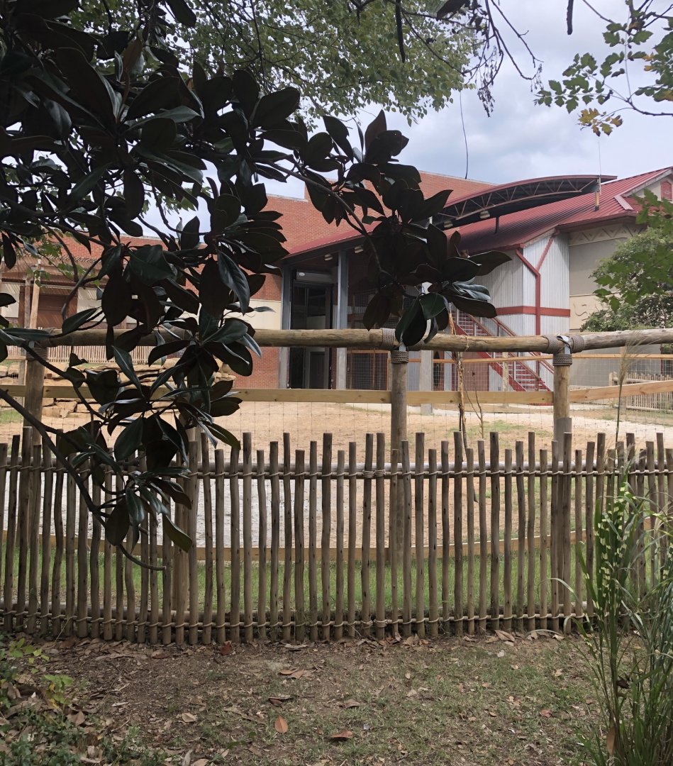 Finished Giraffe Exhibit