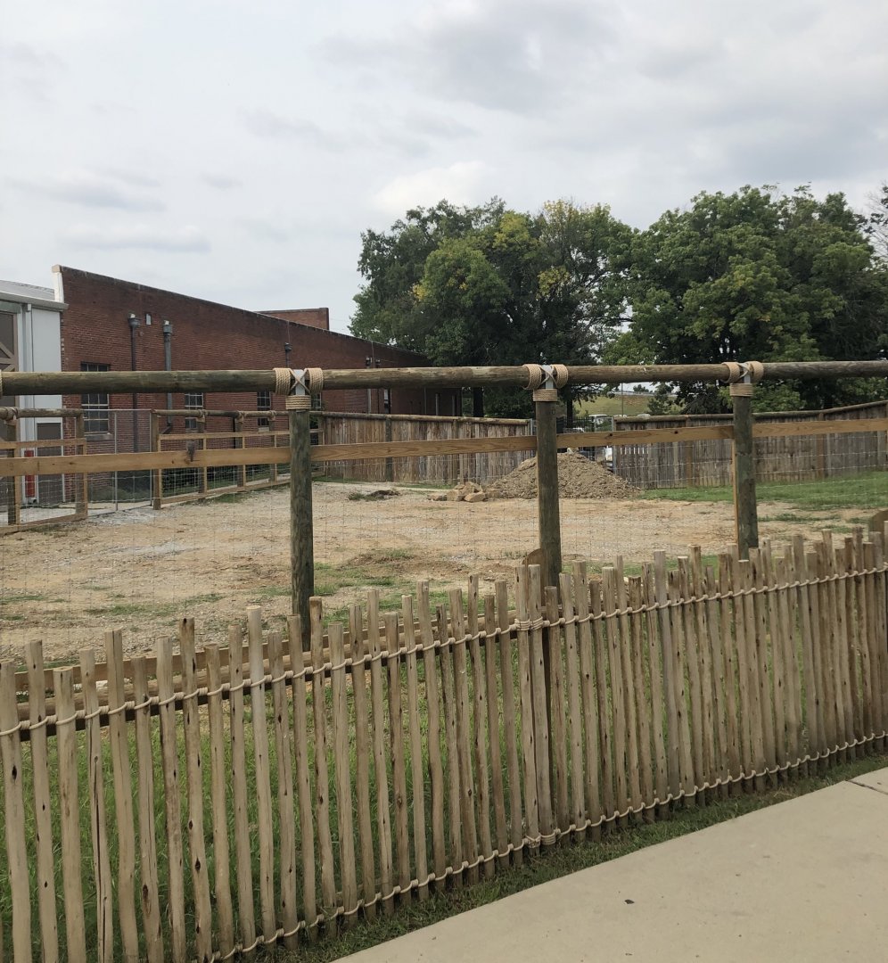 Finished Giraffe Exhibit