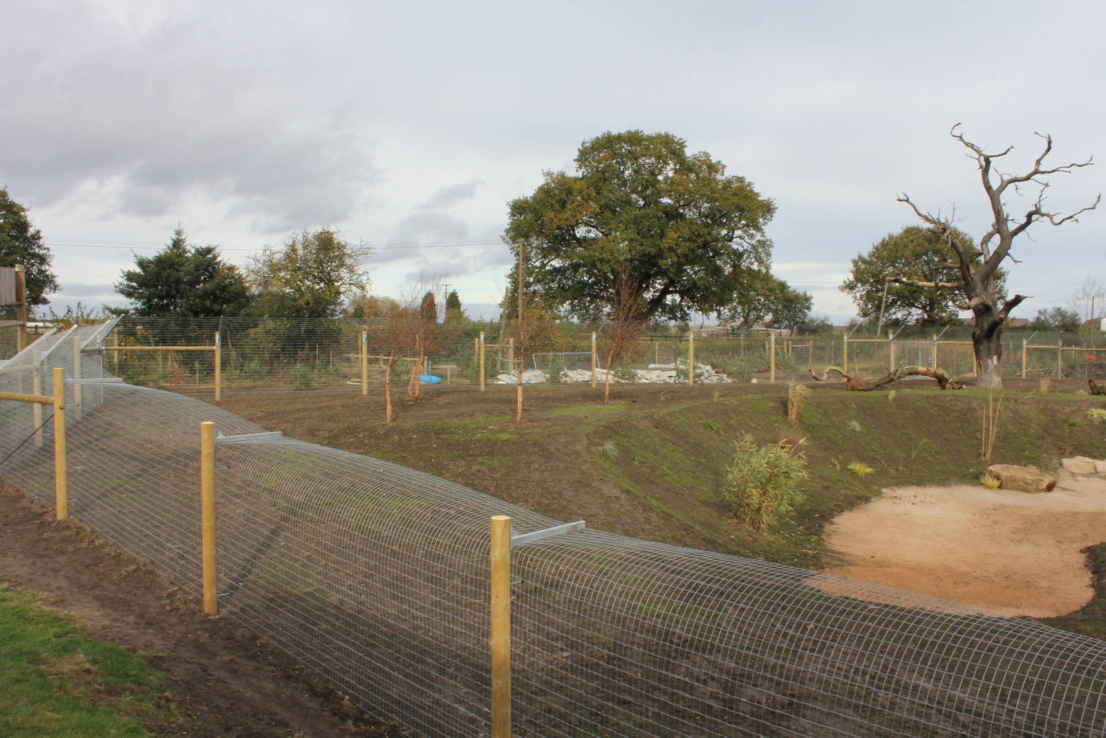 Finished hunting dog enclosure 26-10-14