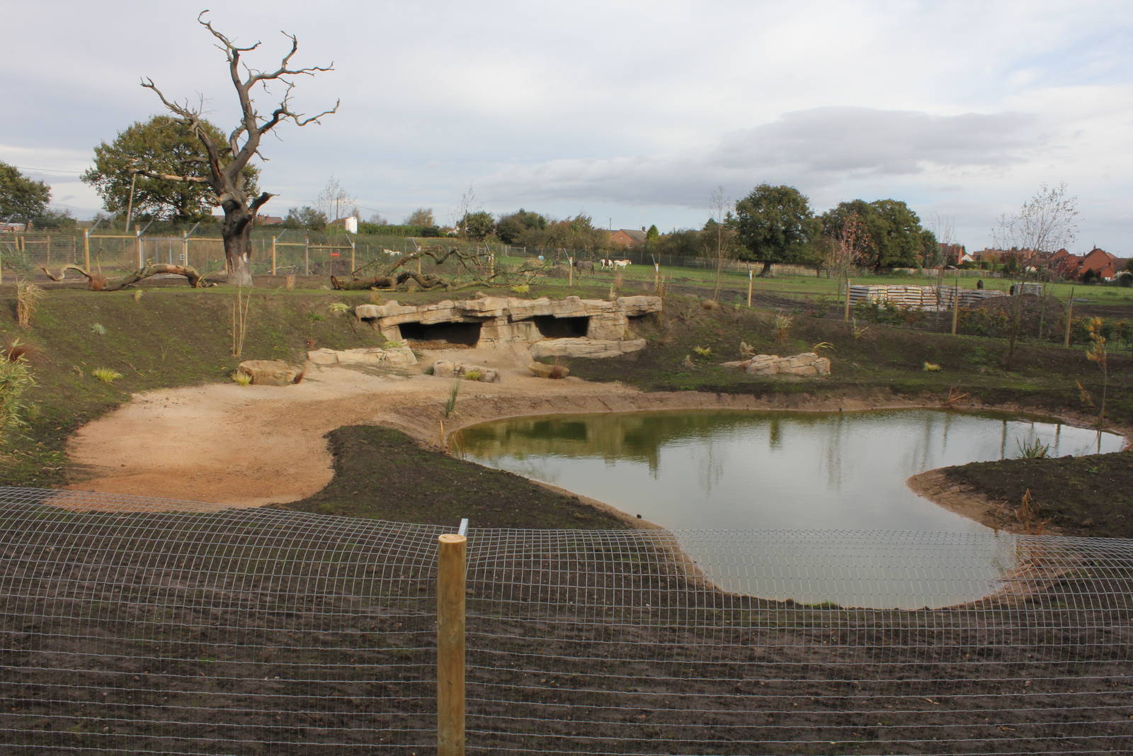 Finished hunting dog enclosure 26-10-14