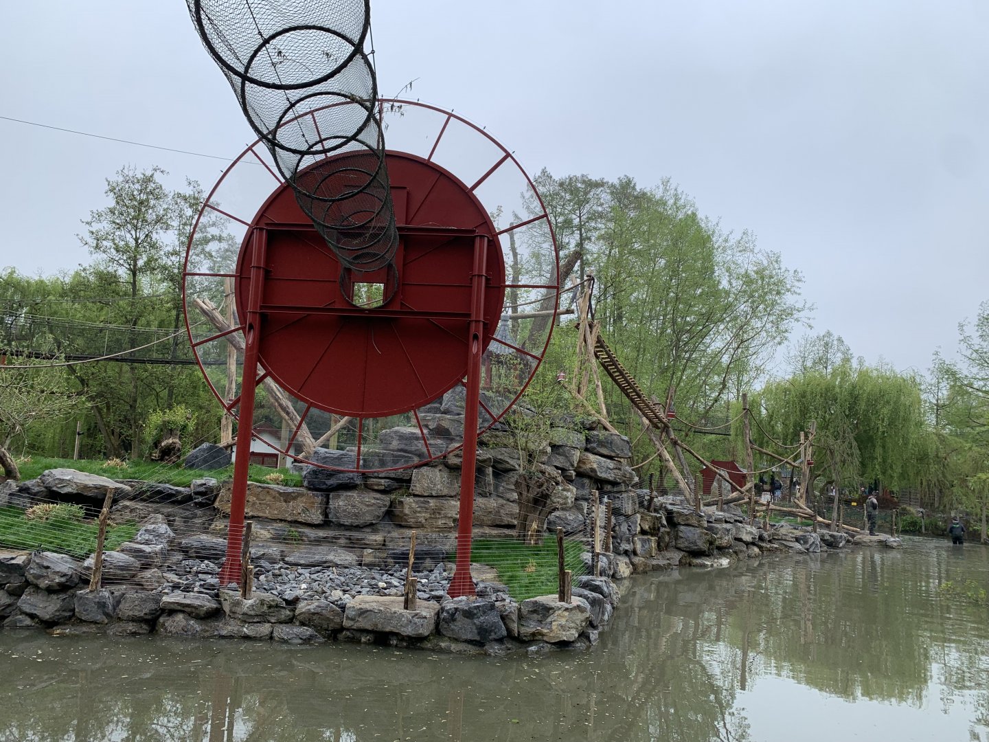 Finished island for new monkey species