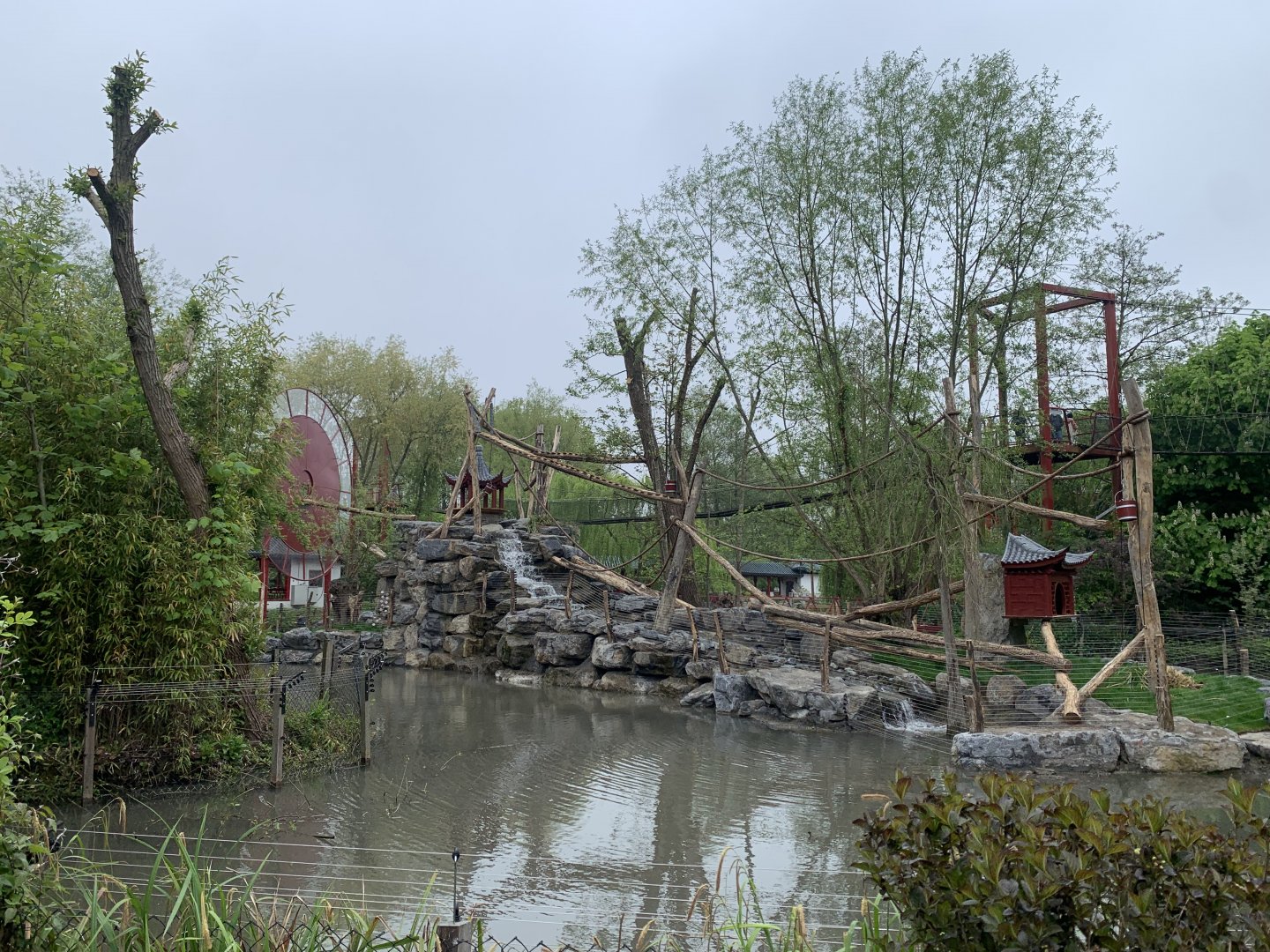 Finished island for new monkey species