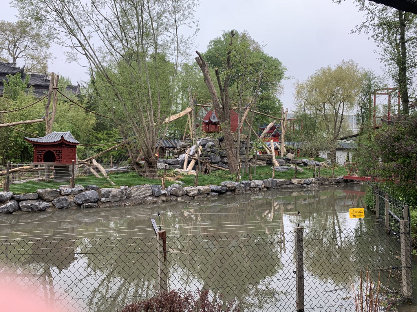 Finished island for new monkey species