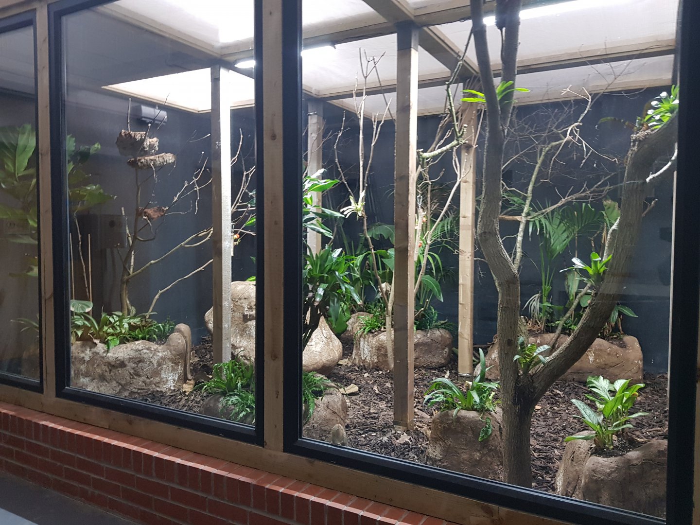 Finished Pygmy Marmoset Enclosure