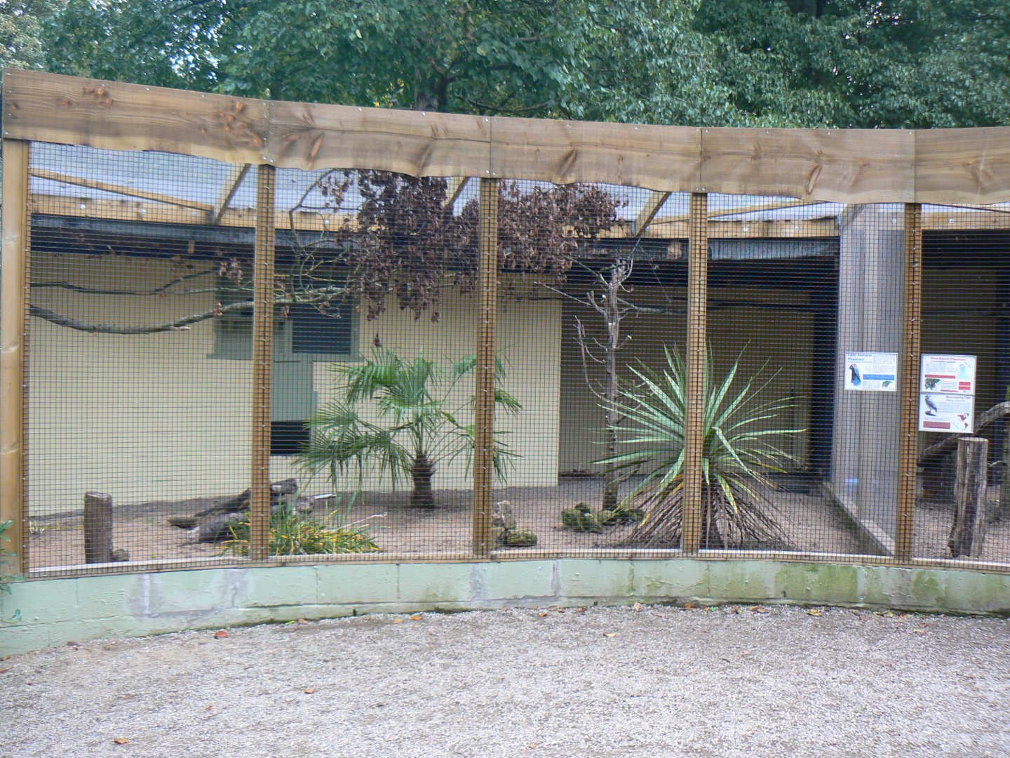 Finished Rebuilt Aviary - 16 October 2016