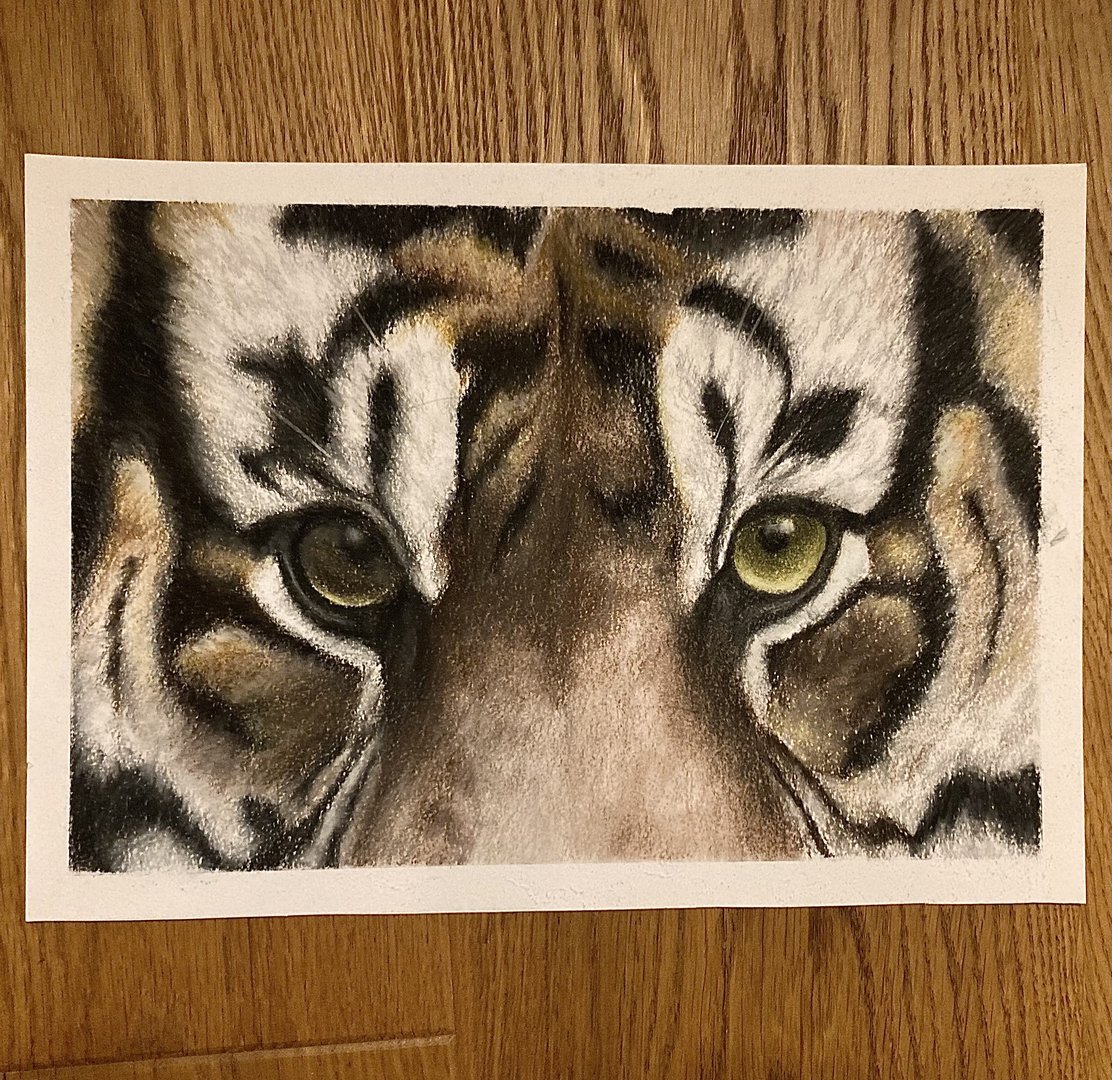 Finished tiger eye drawing