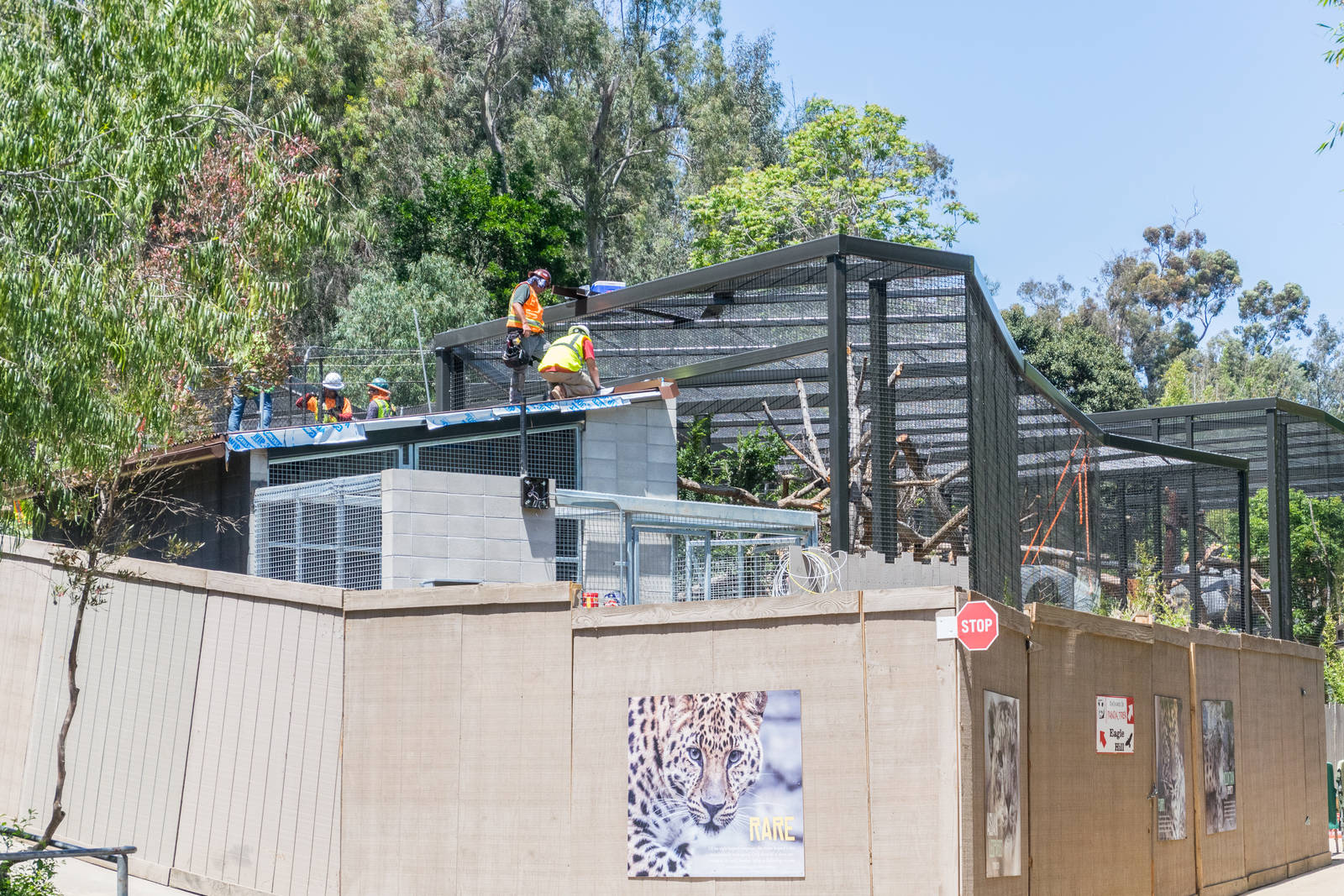 Finishing touches on the leopard exhibits