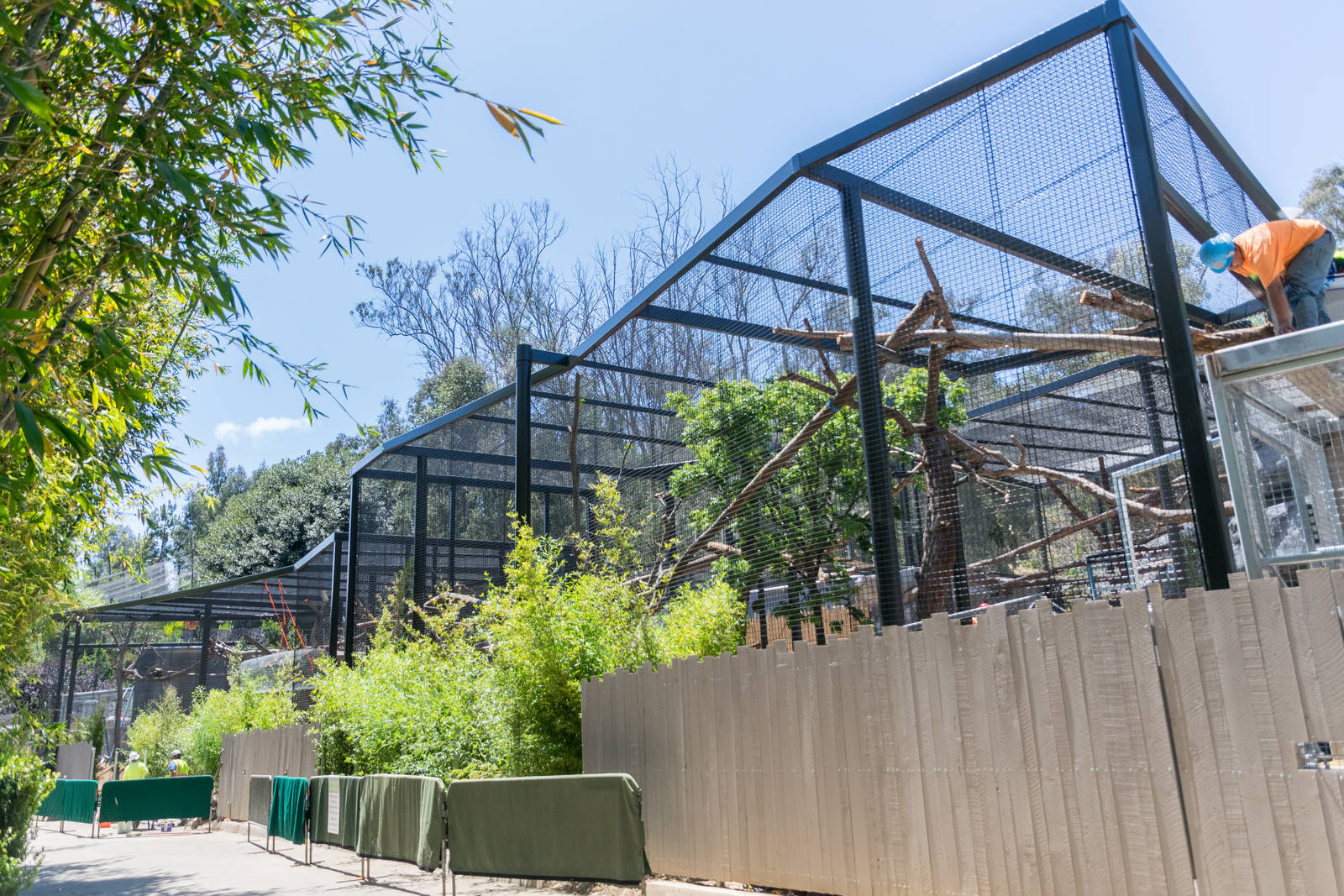 Finishing touches on the leopard exhibits