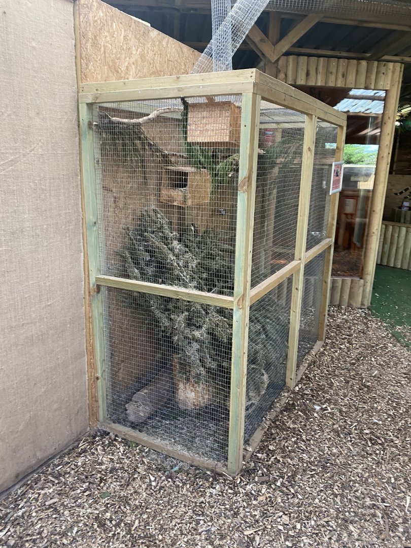 Finlayson's squirrel enclosure 250222