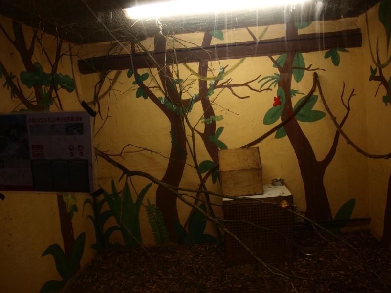 Finlayson's squirrel enclosure (April 19th, 2015)