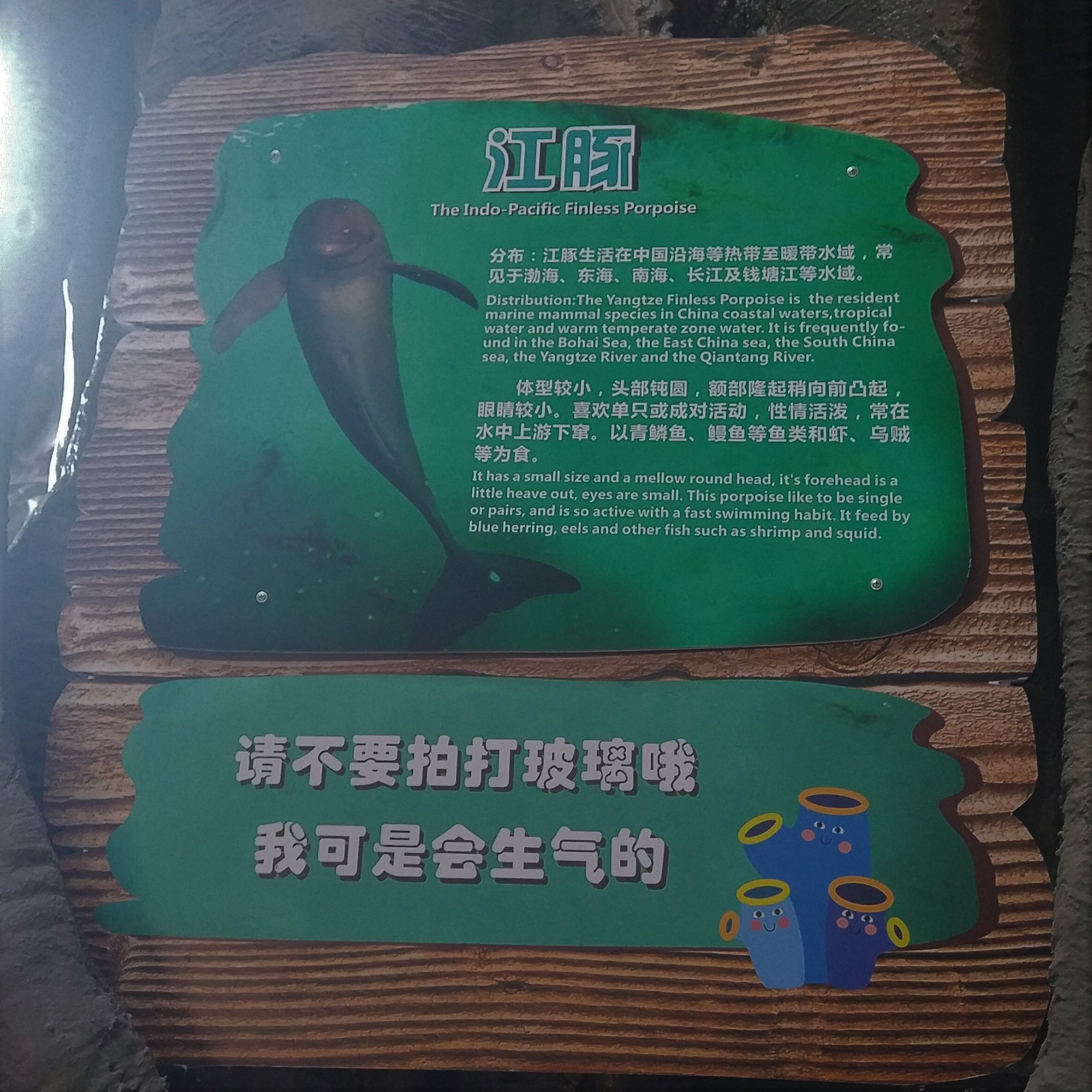 Finless Porpoise Signage