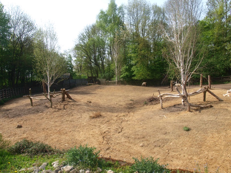 Finnish forest reindeer enclosure (May 2nd, 2015)