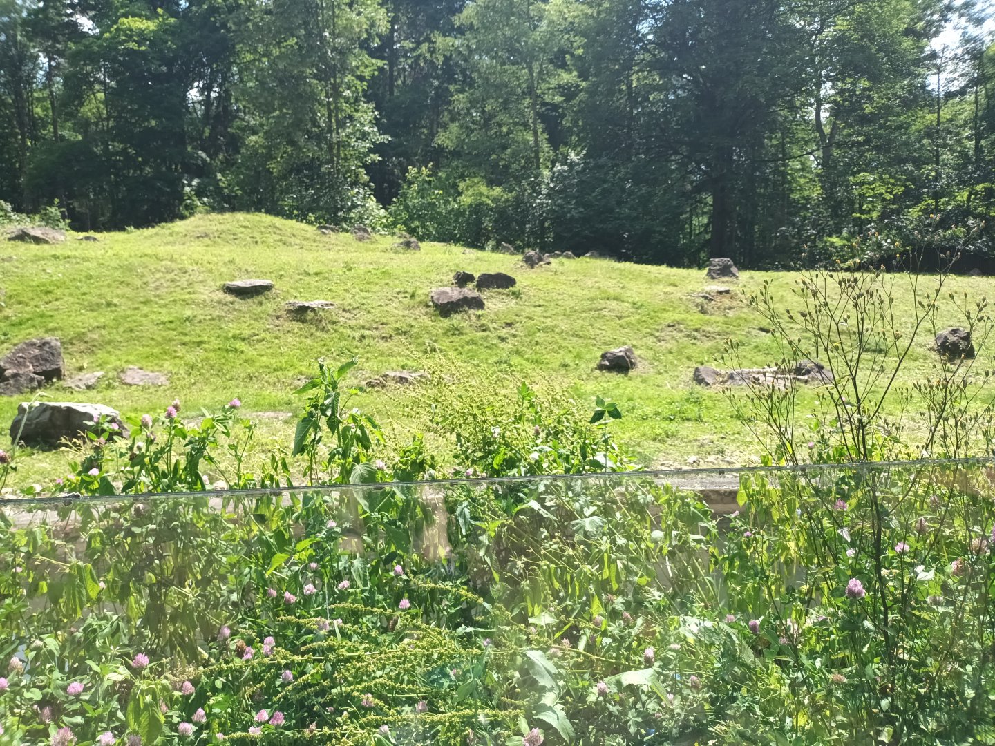 Finnish Forest Reindeer Enclosure