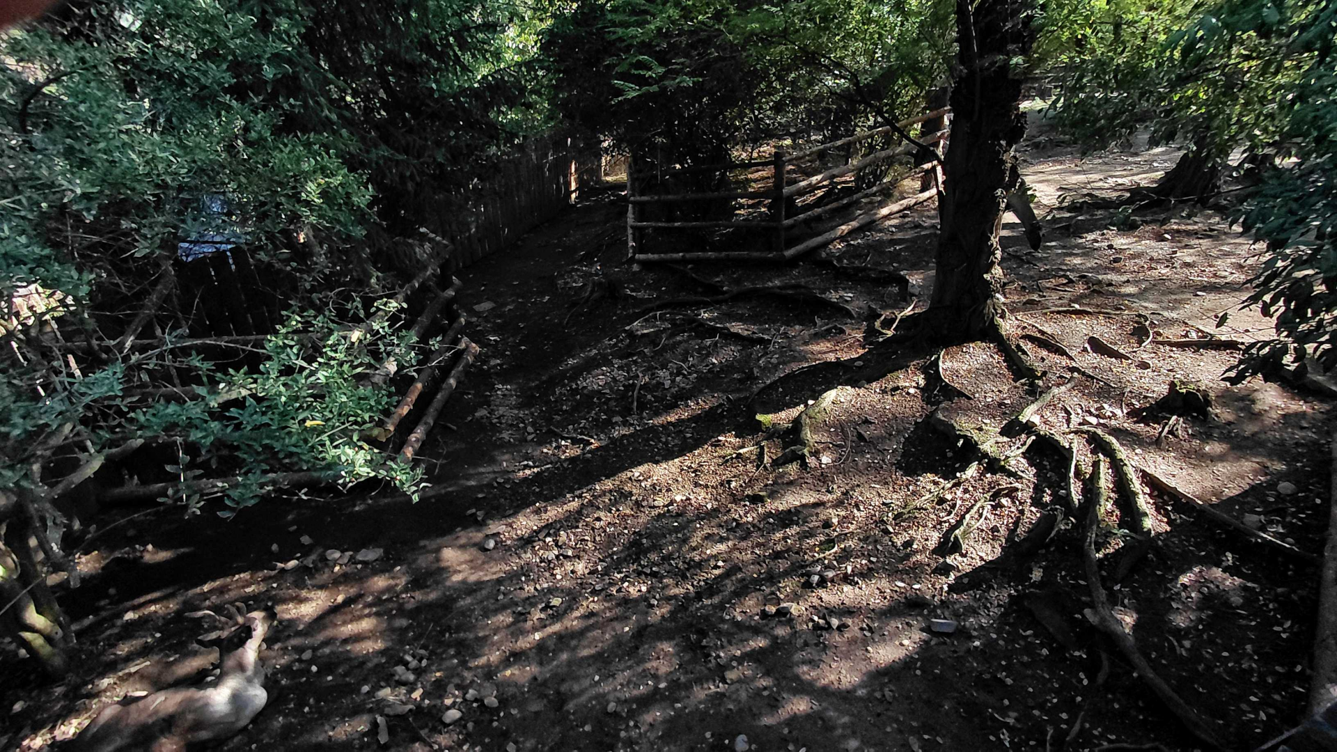 Finnish forest reindeer exhibit