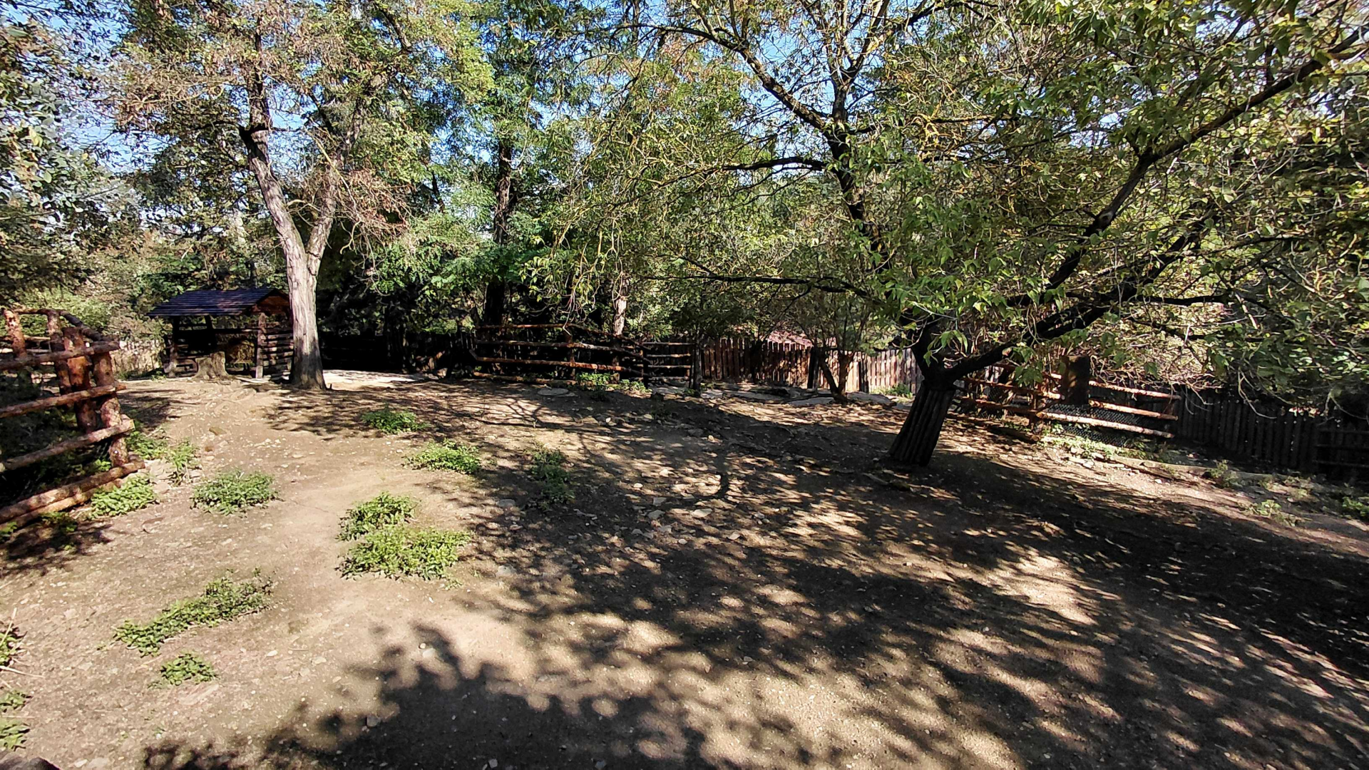 Finnish forest reindeer exhibit