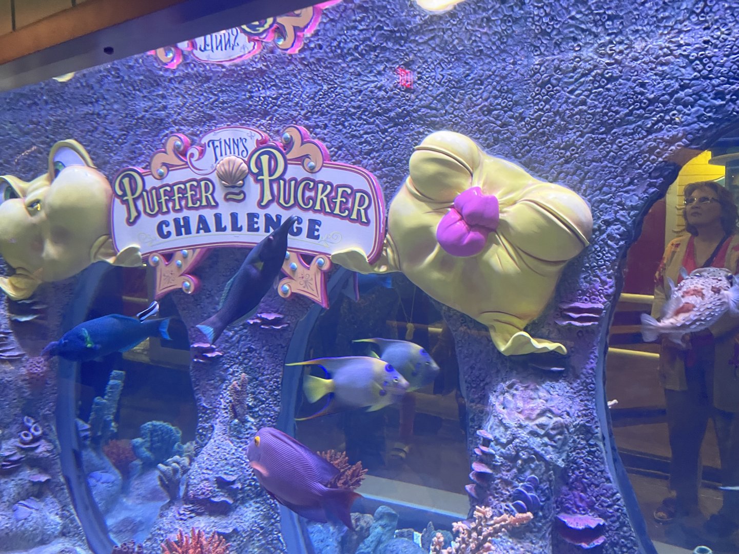 Finn’s Puffer Pucker Challenge- May 2024