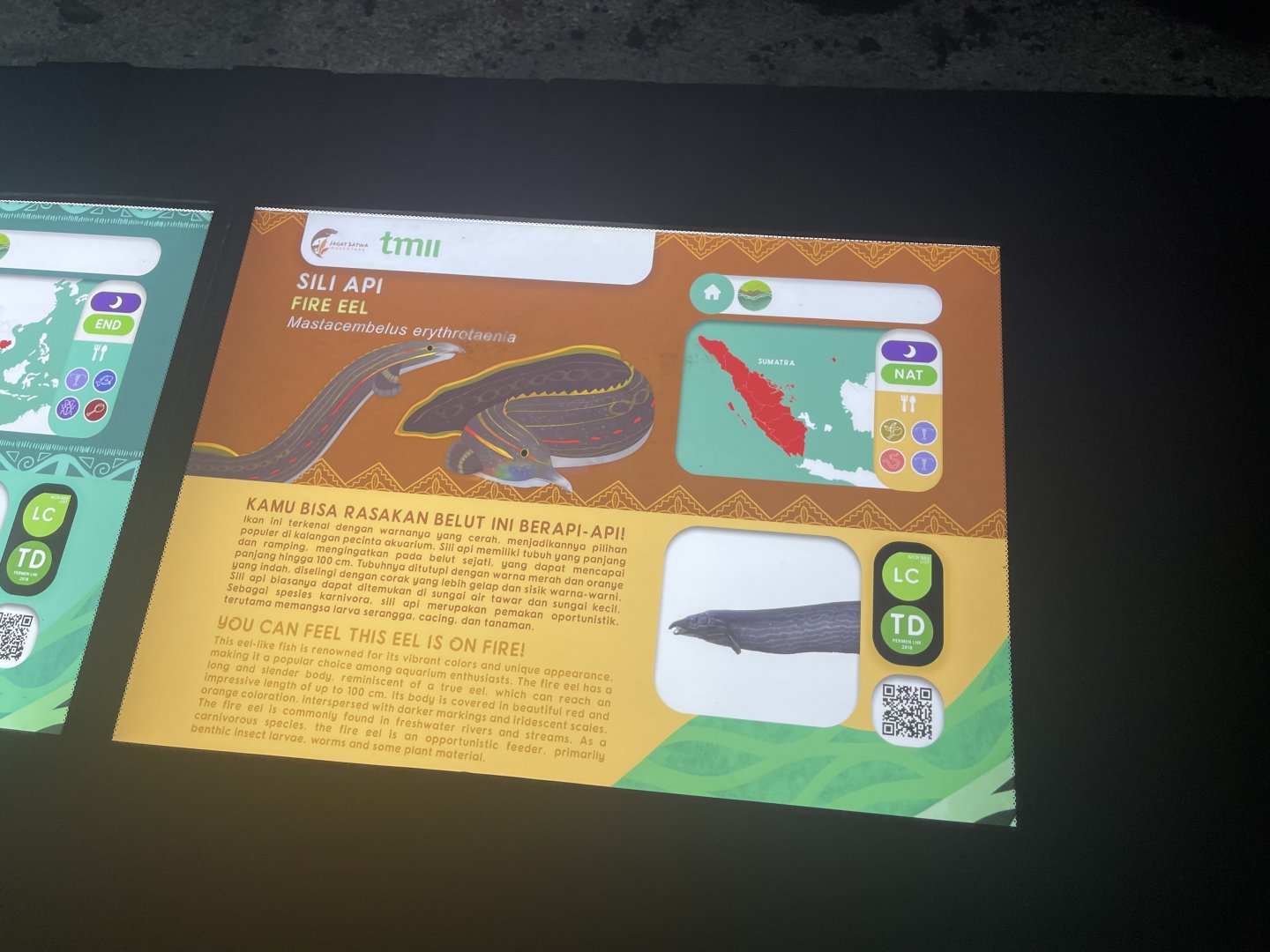 fire eel signage - dunia air tawar