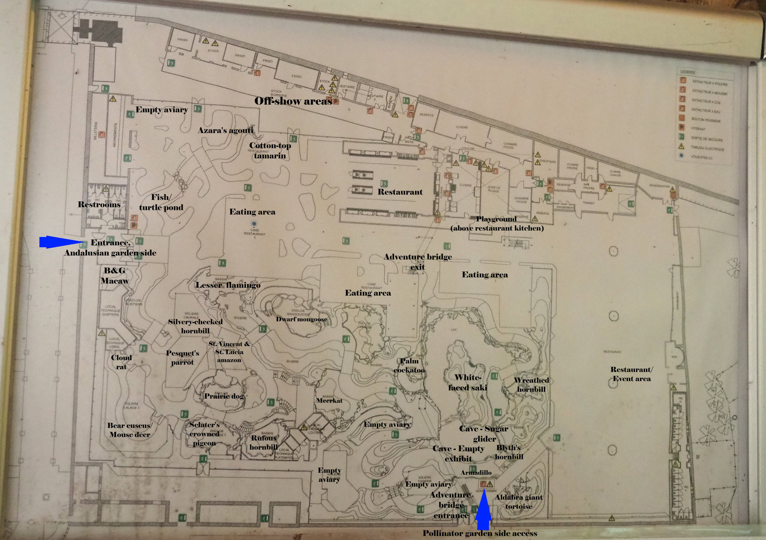 Fire escape map of the Oasis with approximate locations of exhibits and areas written on it