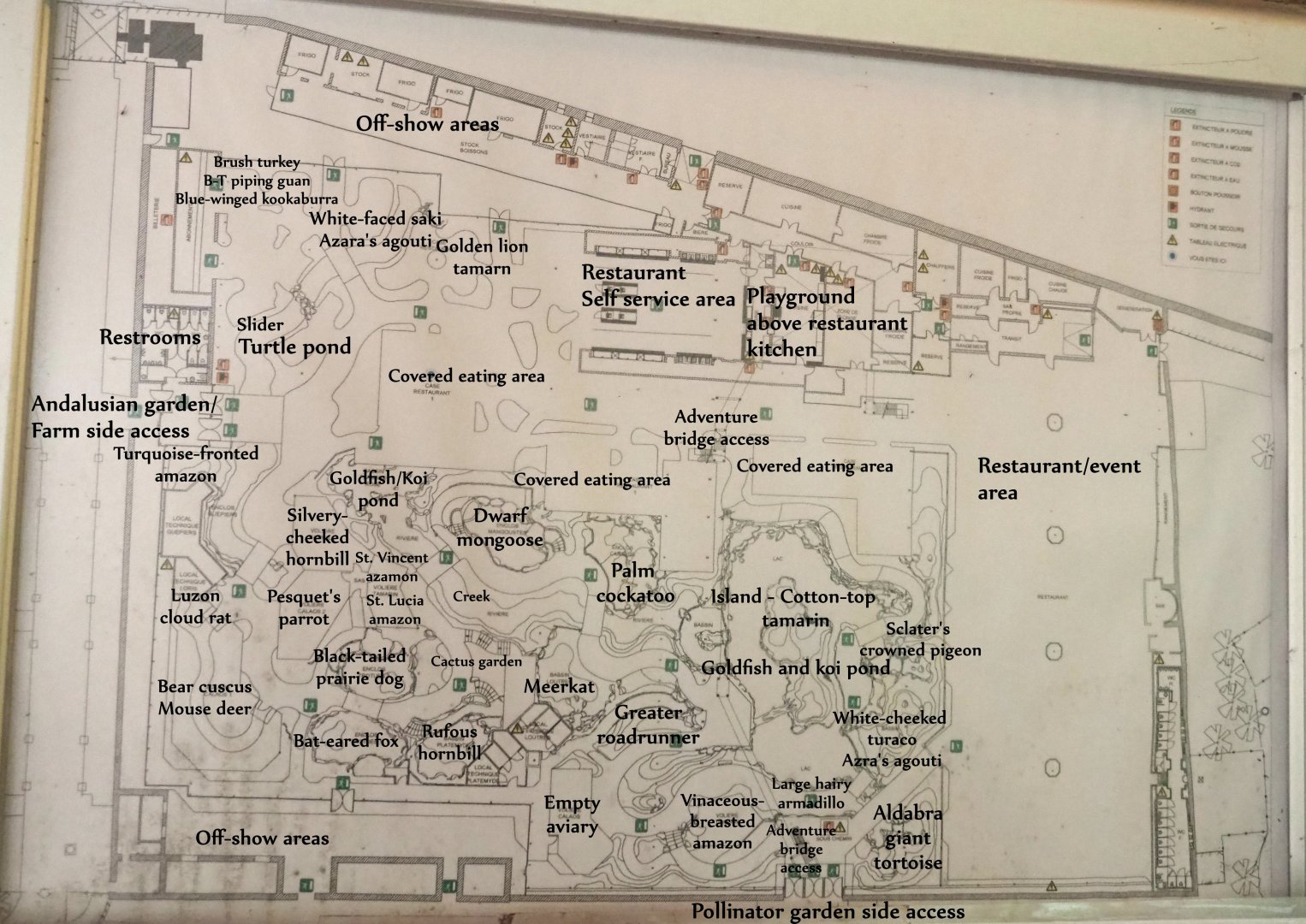 Fire escape map of the Oasis with updated locations of exhibits and areas written on it (State as of Fall 2024)