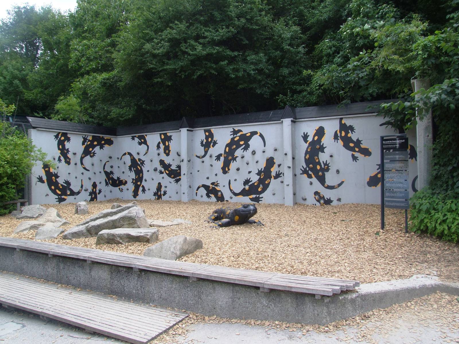 Fire Salamander Climbing Wall at Vienna, 14/06/13