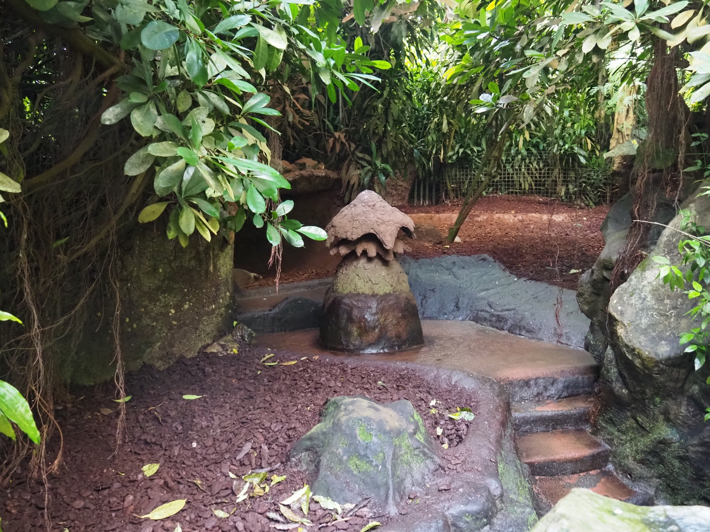 First aardvark exhibit (Sep 16th, 2018)