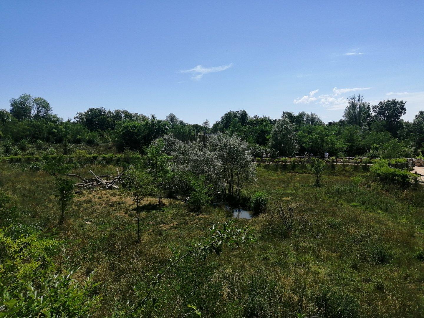 First African exhibit