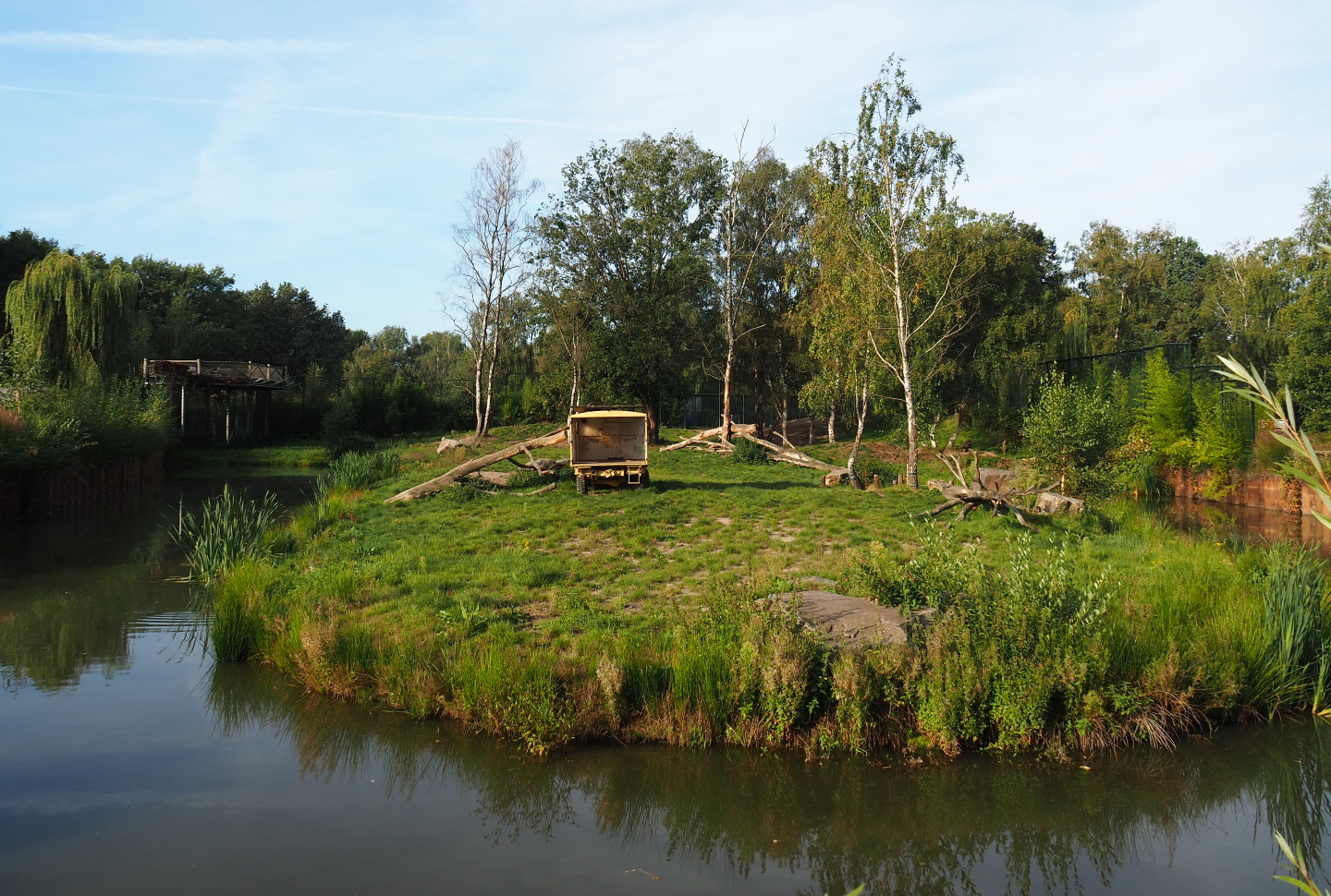 First African lion exhibit, 2019-09-15