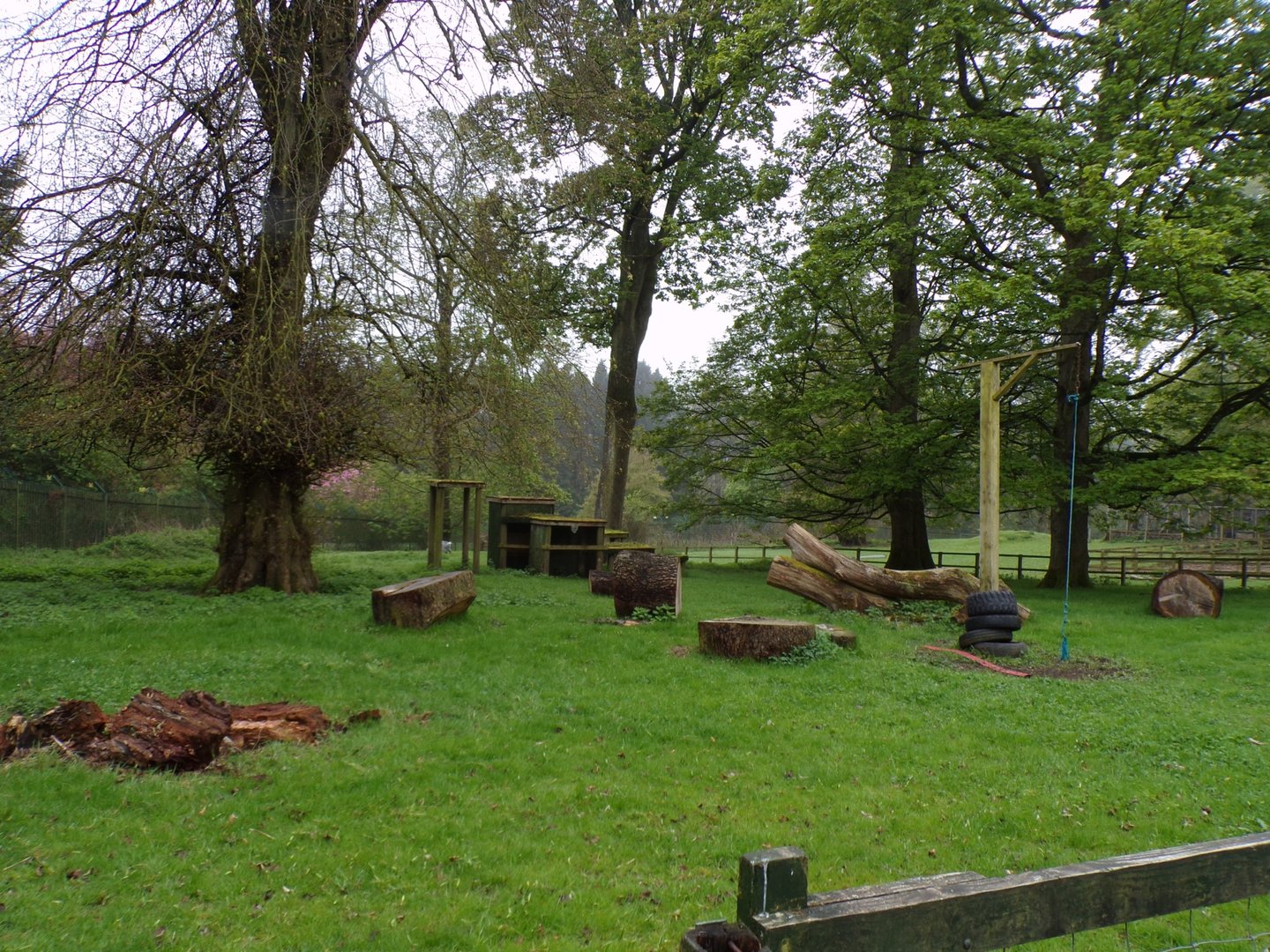 First African pygmy goat enclosure 7.5.23