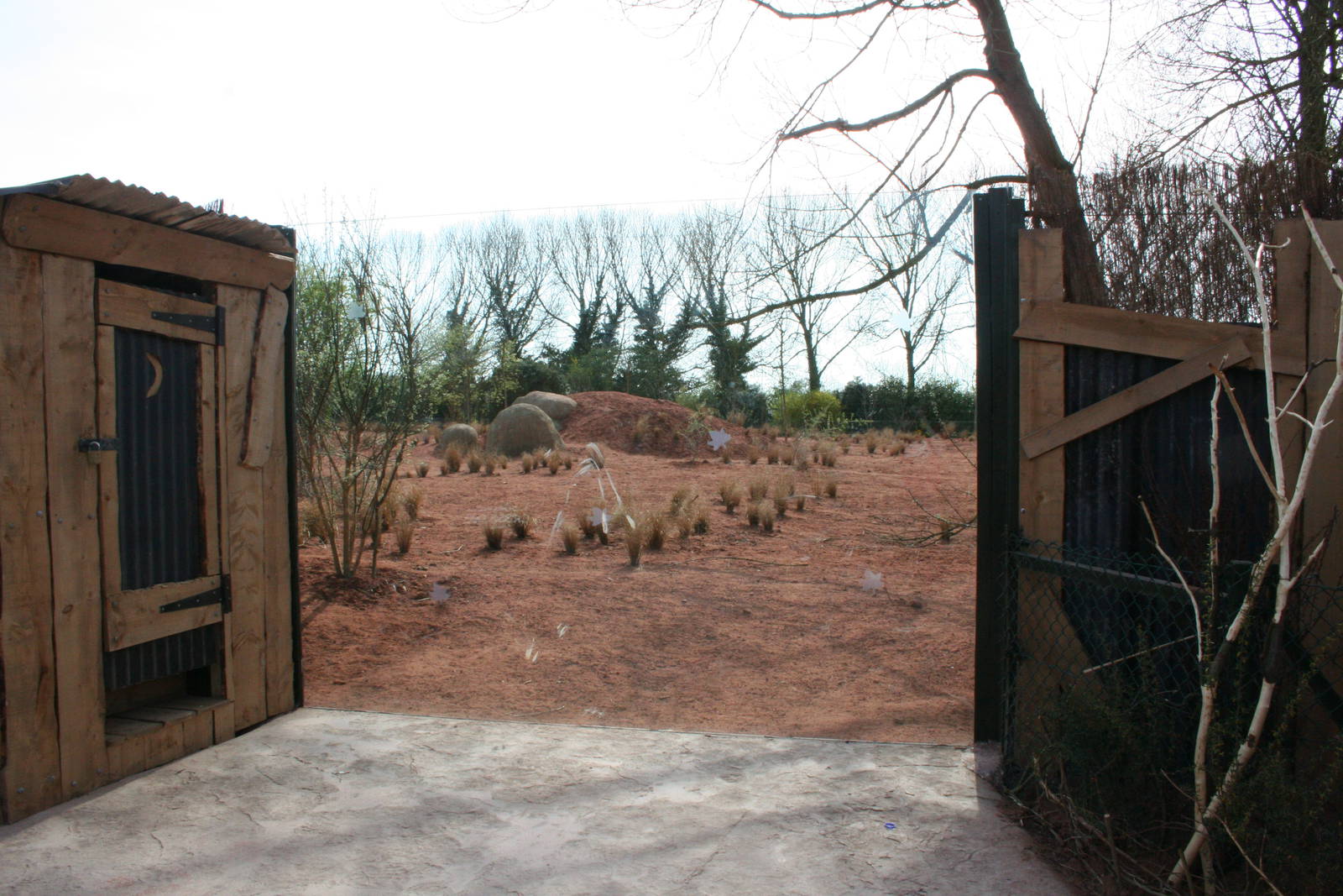First African wild dog enclosure