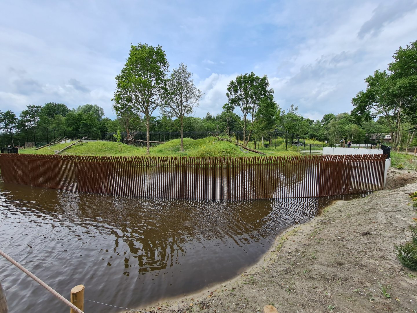 First amur tiger enclosure