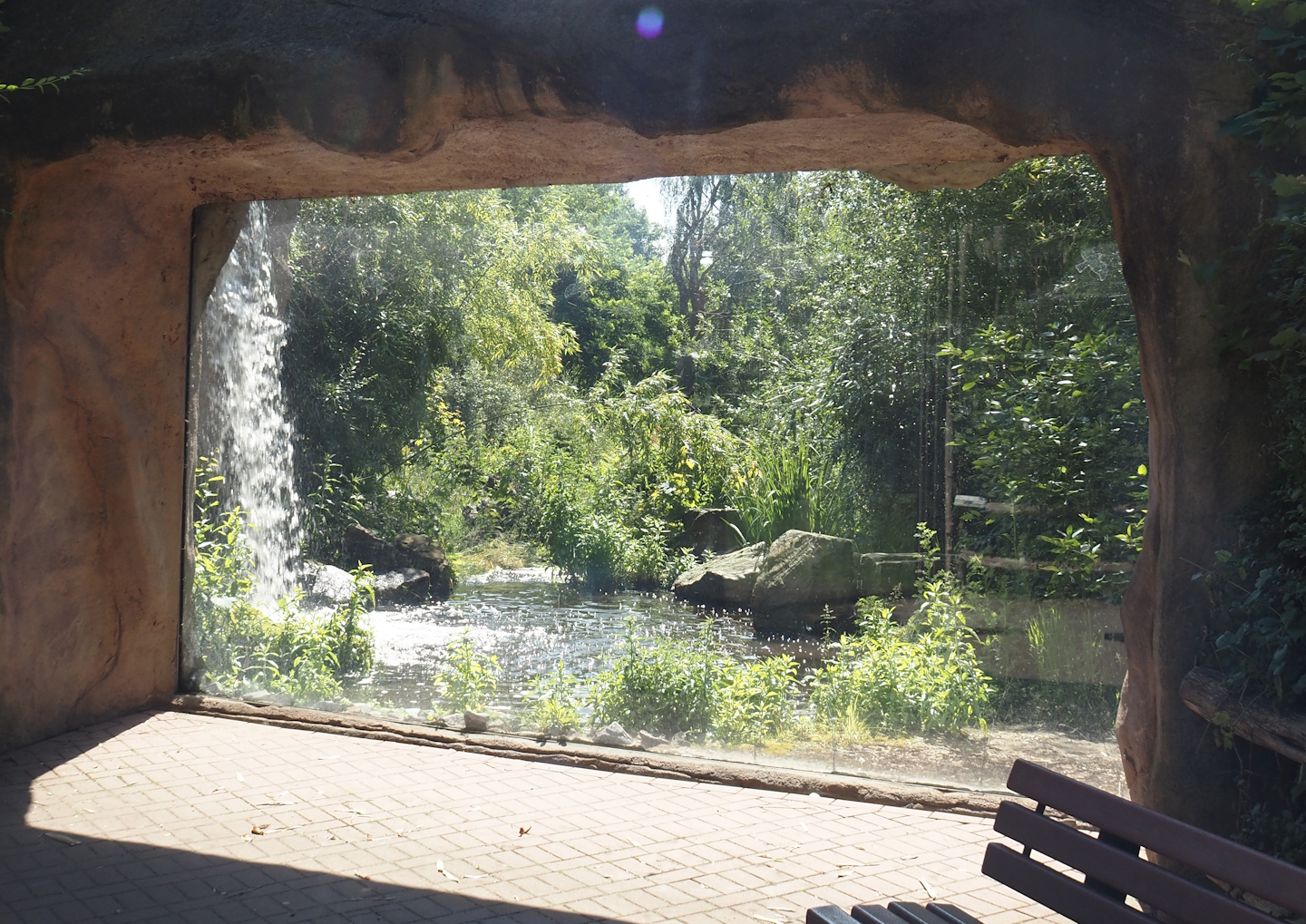 First Amur tiger exhibit, 2024-06-08