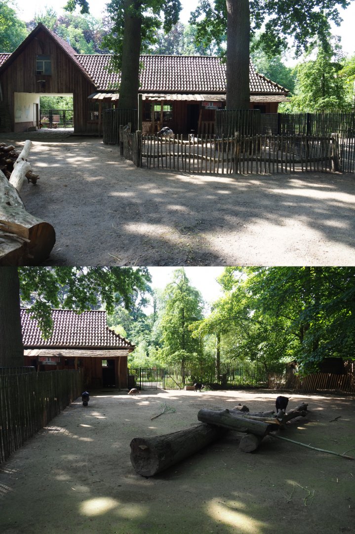 First and second domestic animal paddocks - Former petting zoo, 2020-06-12