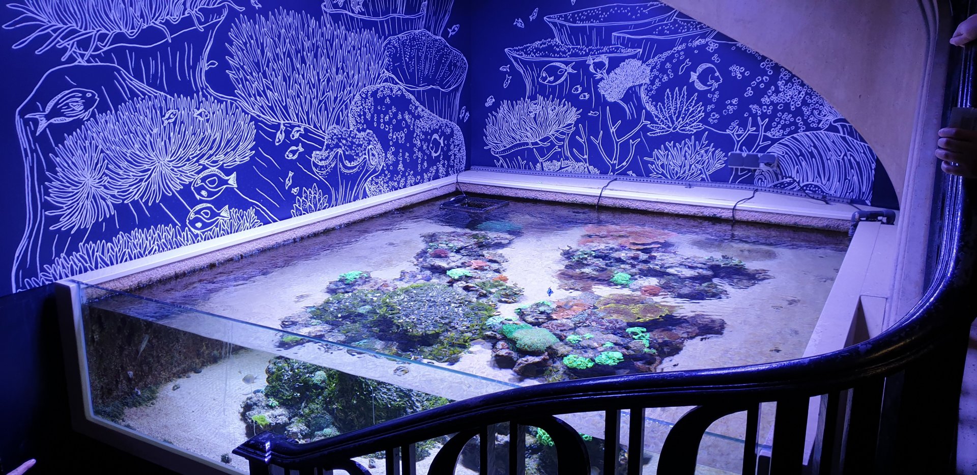 First aquarium down the stairs