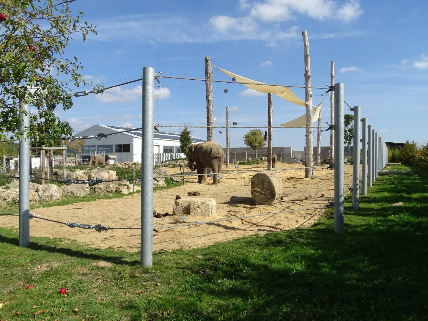 First asian elephants exhibit