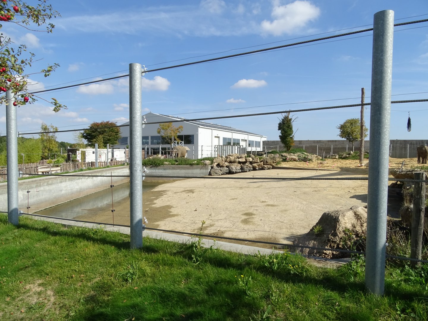 First asian elephants exhibit
