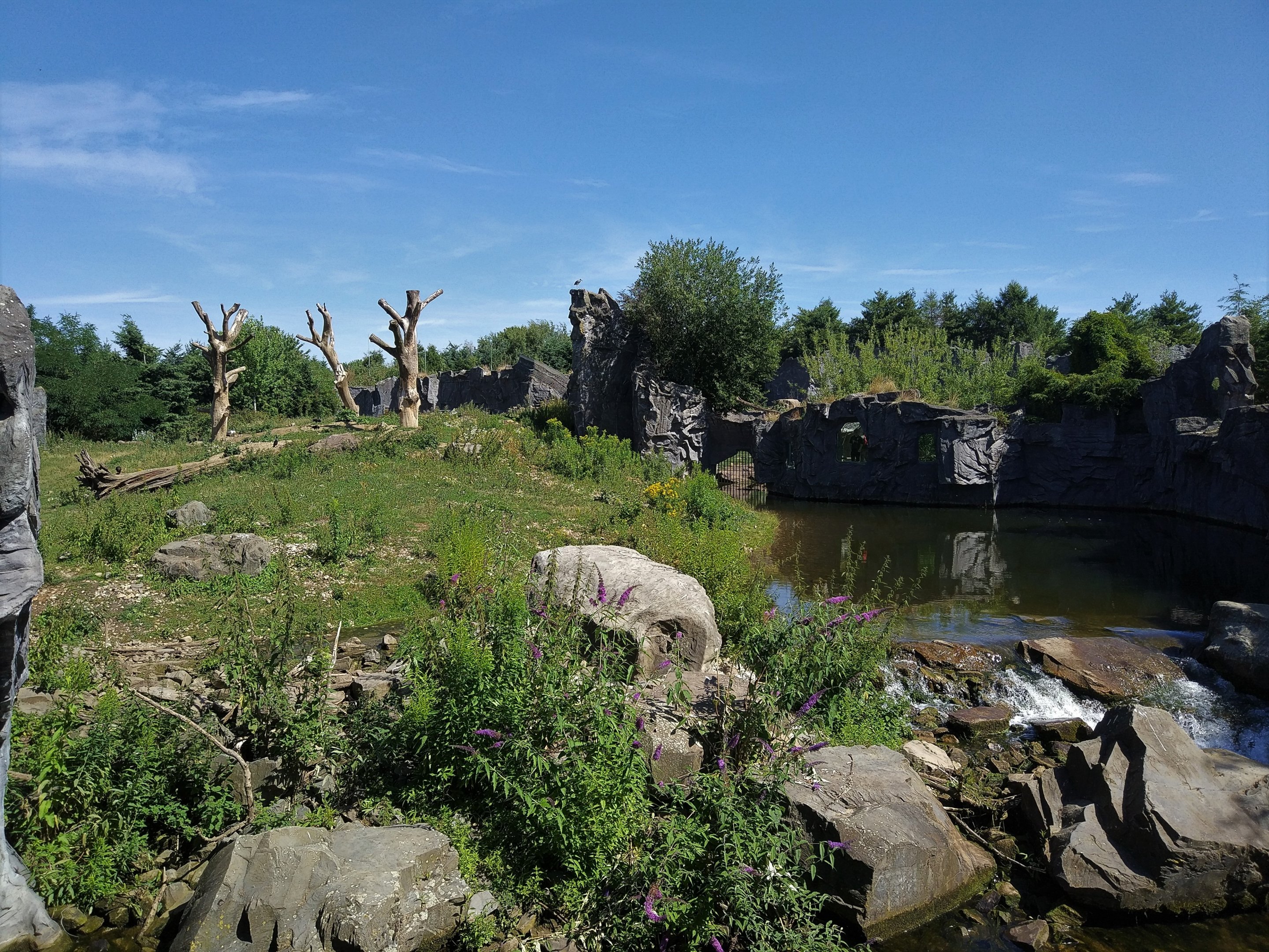 First Bear Enclosure