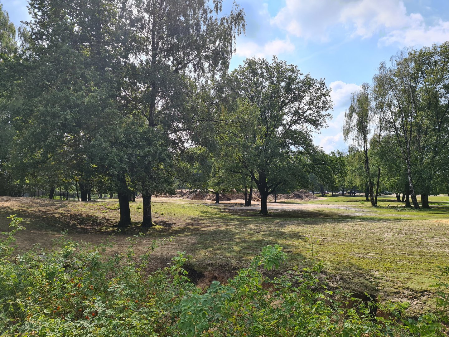 First big Savannah paddock